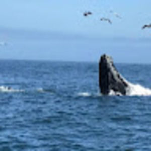 Meet your Posher, Claire